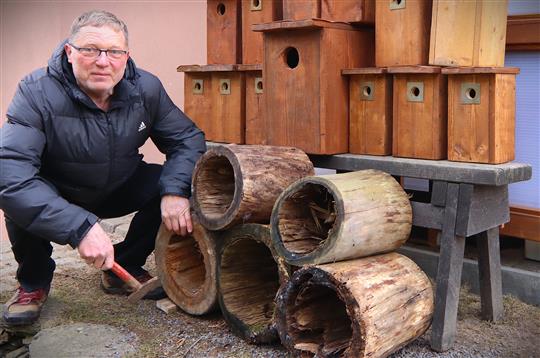 Ptačí buky a hmyzí hotely Přibyslav